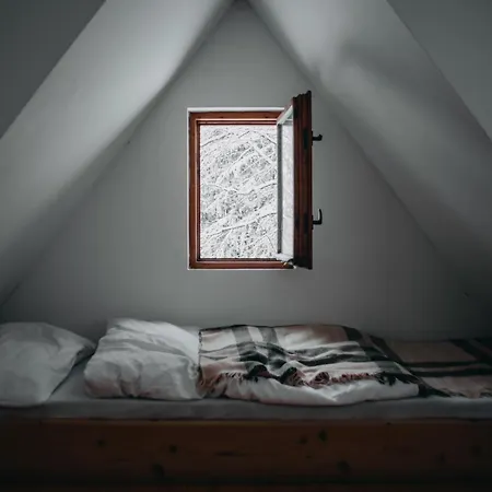 Roztomilá A Utulná Azzy Na Samotě V Lese.