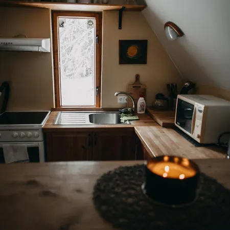 Roztomilá A Utulná Azzy Na Samotě V Lese.