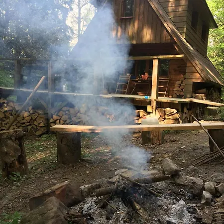 Roztomilá A Utulná Azzy Na Samotě V Lese. *