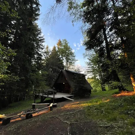 Roztomilá A Utulná Azzy Na Samotě V Lese. Valašské Klobouky