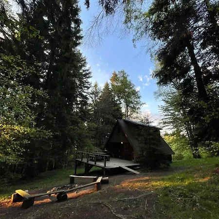 Chalet Roztomilá A Utulná Azzy Na Samotě V Lese. *