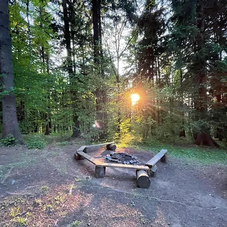 Roztomilá A Utulná Azzy Na Samotě V Lese. *