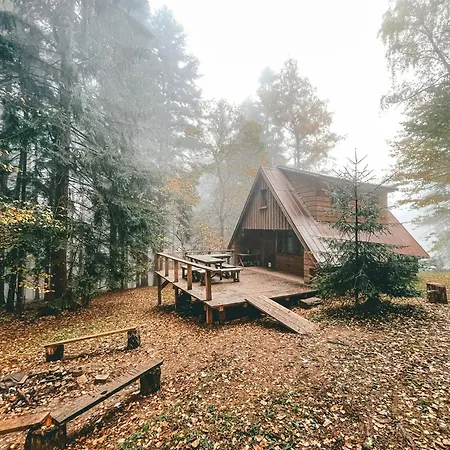 Roztomilá A Utulná Azzy Na Samotě V Lese.