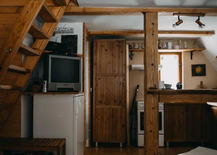 Roztomila A Utulna Azzy Na Samote V Lese. Valašské Klobouky