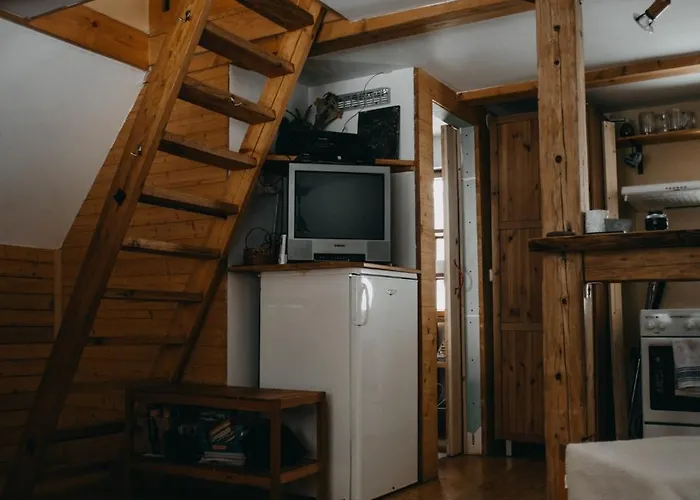 Roztomila A Utulna Azzy Na Samote V Lese. Valašské Klobouky