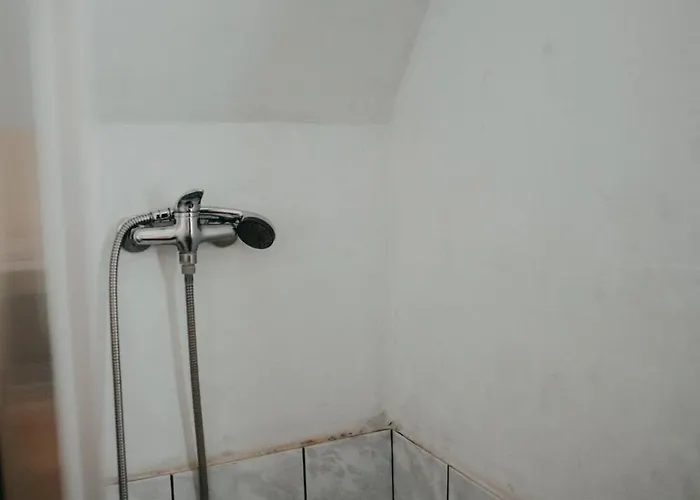 Roztomila A Utulna Azzy Na Samote V Lese. * Valašské Klobouky