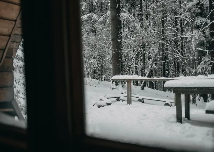 Chalet Roztomila A Utulna Azzy Na Samote V Lese.